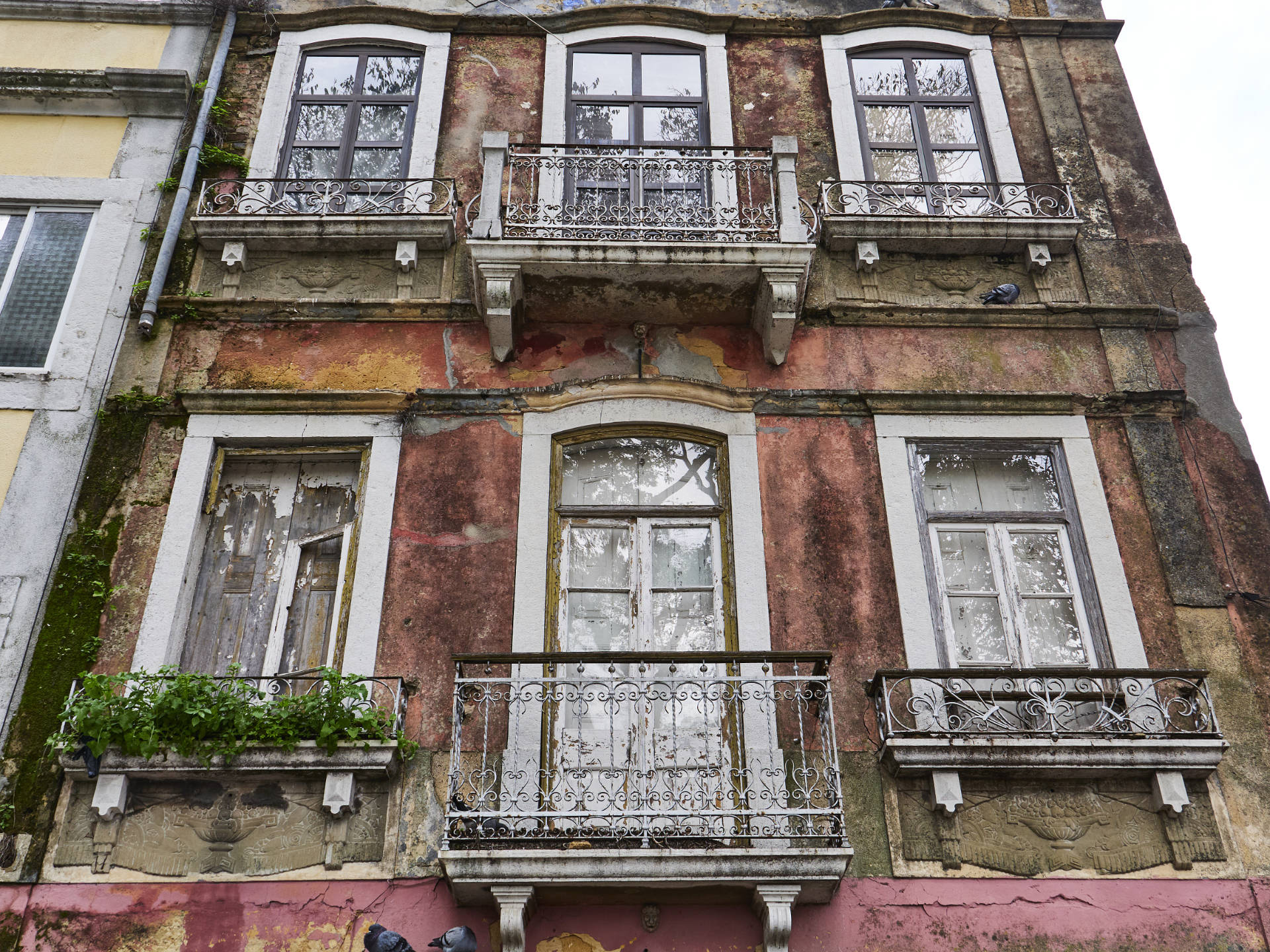 Verfall am Miradouro de São Sebastiao in Setúbal