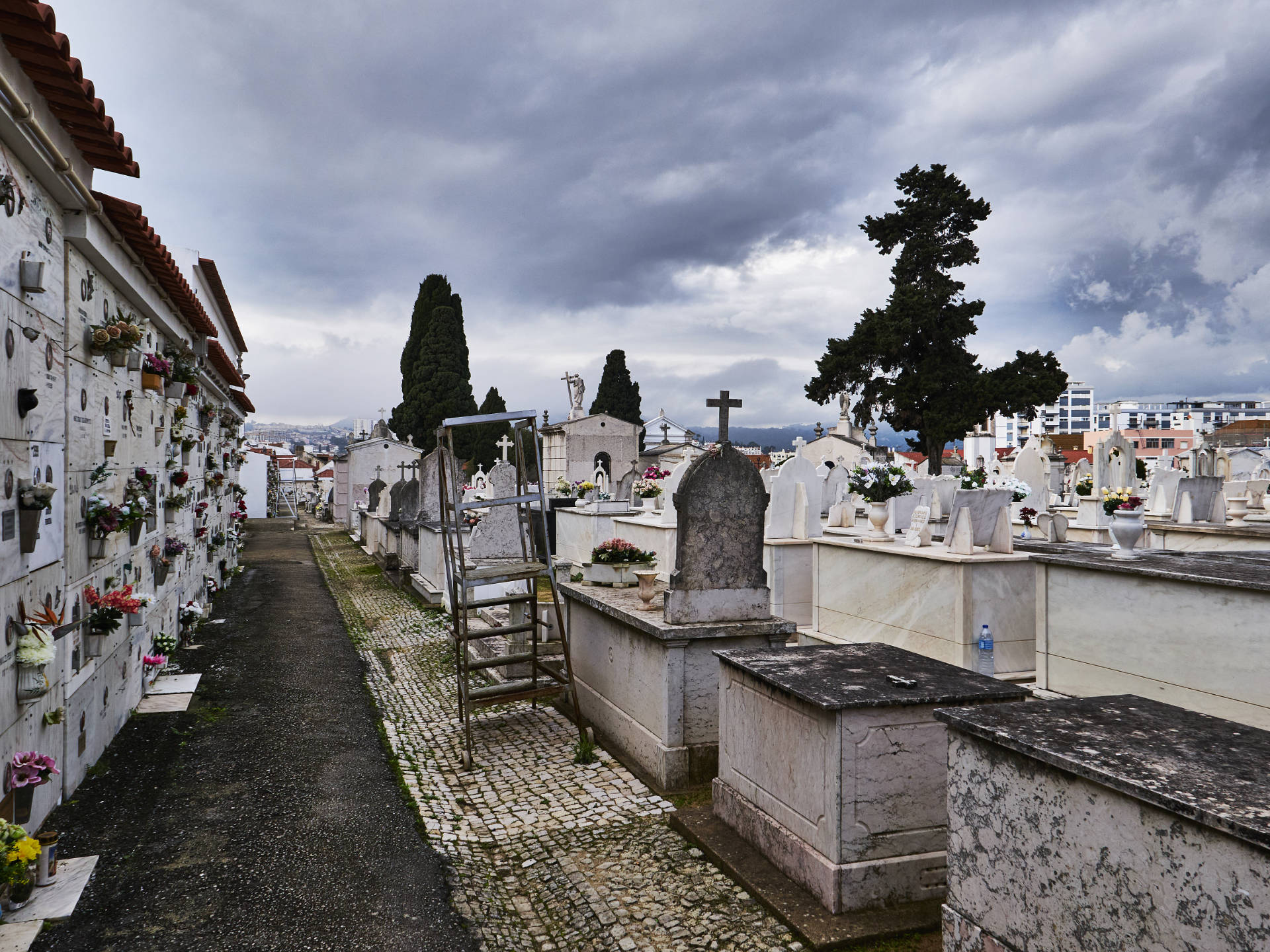 Letzte Ruhe mit Aussicht – Cemitério da Piedade Setúbal.